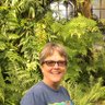 Profilbild von Nan M.
