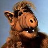 Alf de Melmac 🐟🇺🇦#majoritesilencieuse 的头像