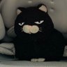 Profilbild von らいと
