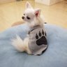 M池田's profile picture