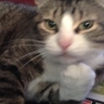 Neenah's profile picture