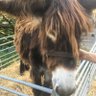MIQUEU de PEVE profil fotoğrafı