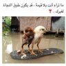 Profilbild von Abdullah Al-Safi