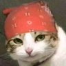 七秒魔咒's profile picture