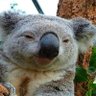 Profilbild von Anivelsocial