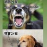 陳經's profile picture