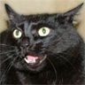 Profilbild von Oleg