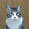 にゃん太 profil fotoğrafı