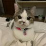 Profilbild von note01
