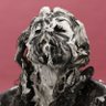 pure paint's profile picture