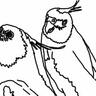Dr. Ann Lawless's profile picture