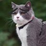 笑、's profile picture