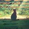 monologue's profile picture