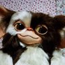 とし【10/4は天使の日】's profile picture