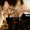 BeyeG's profile picture
