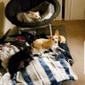 Tyler profil fotoğrafı