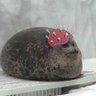 Sir Seal's profile picture