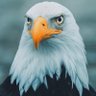 chris profil fotoğrafı