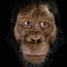 Ndekule C.E.O profil fotoğrafı