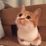 Wenliang·Wayne's profile picture