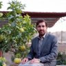 Profilbild von Babak Naqibullah