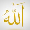 Profilbild von الحمد لله ...*