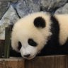 Фото профиля おしゃん