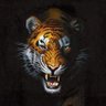 เสือตัวที่ 11's profile picture