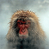 Profilbild von Oleksandr