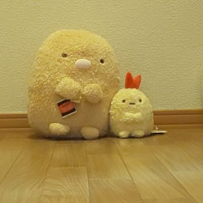 shi_papa_sumi's profile picture