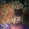 Profilbild von nutty