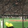 hayato profil fotoğrafı