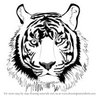 Easy Tiger profil fotoğrafı