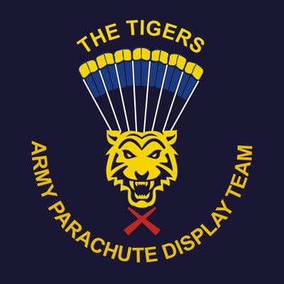TigersFFT's profile picture