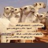 الوطن غالي profil fotoğrafı
