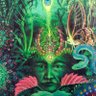 🇵🇸🌎 ⵣ🌱🐝 🌈AyahuasKinK🌈🐝🌱 ⵣ🌍🇵🇸 profil fotoğrafı
