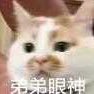 🥑 的头像