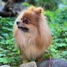つみき profil fotoğrafı