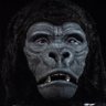 BAALEaDUGBO's profile picture