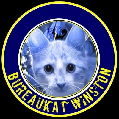 Winston (ex) bureaukat's profile picture