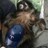 Lolo's profile picture