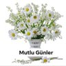 ozlem's profile picture