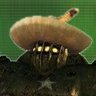 Jak's profile picture