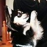 Profilbild von Bishop Barks