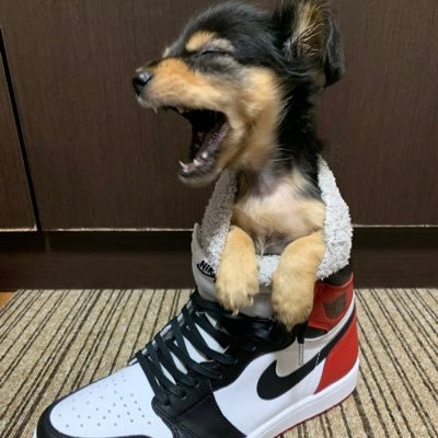 DaiSNEAK's profile picture
