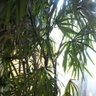 Фото профиля てっちゃん