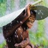 Фото профиля Oliver Pfeiffer