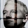 Profilbild von Assange l'Ultime Combat #CloversForAssange
