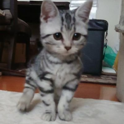 7vQ7j1gjSSDAAVg's profile picture