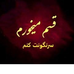 علی علوی's profile picture
